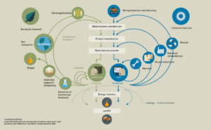circular economy graphical representation