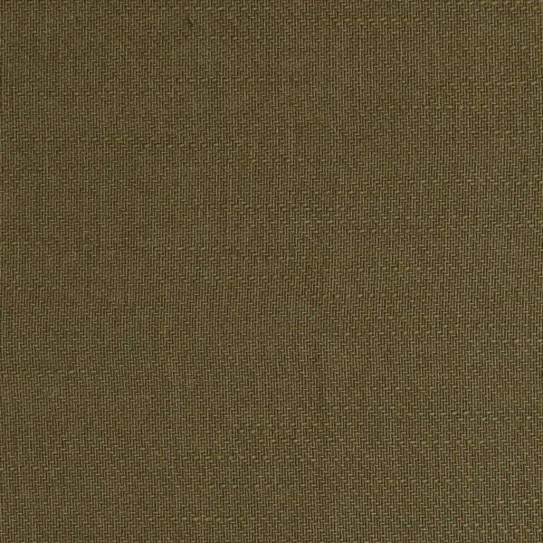 Cotton Green Color Dyed Chino Fabric