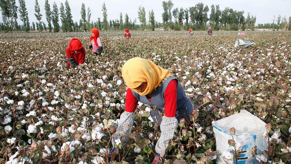 Xinjiang Cotton Vs The World: 2021 Story