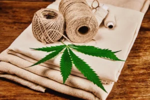 Hemp Fabrics: Leading the sustainability trend