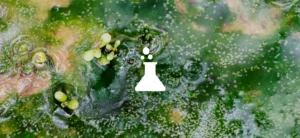 Recycled cotton & Climate crisis: An investigation