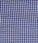 Cotton Blue Small Check Yarndyed Fabric