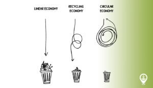 What is Circular fashion economy?