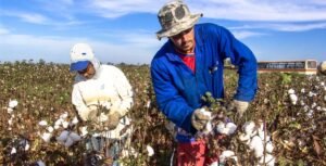 Regenerative fashion in 2022