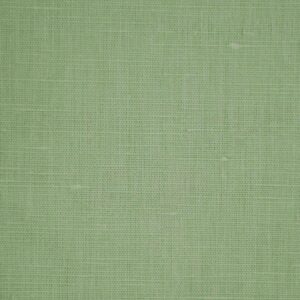 Parrot Green Solid Fabric (FC-183)
