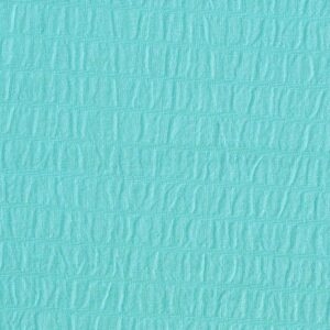 Cotton Lycra Skyblue Dyed Fabric (FC-224)