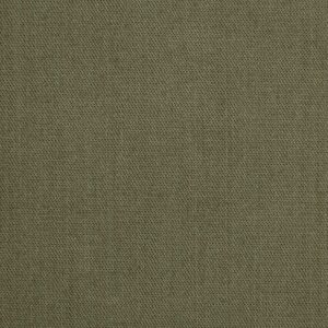 Green Dyed Twill Lyocell Fabric (FC-401)