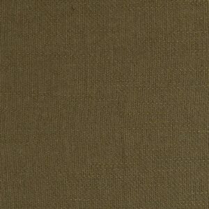 Cotton Green Color Dyed Chino Fabric (FC-673)