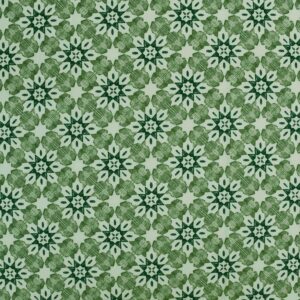 Cotton Stoam Aop Printed Woven Fabric (FC-MTM1398)