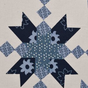 Cotton Plain Plablue Printed Woven Fabric (FC-MTM359)