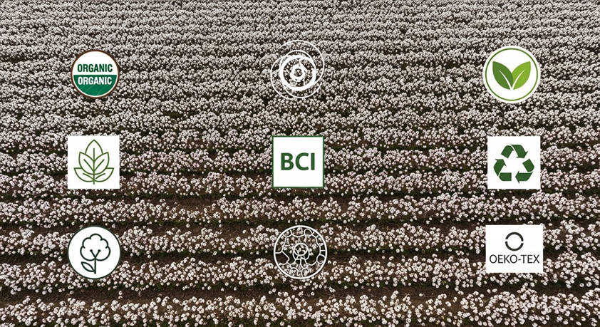 organic cotton plants with sustainability certification labels and eco-friendly icons