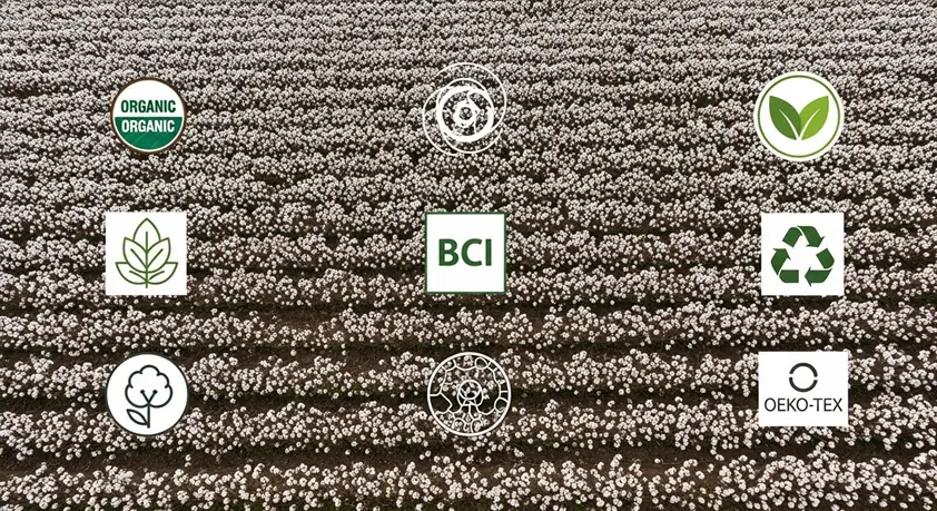 organic cotton plants with sustainability certification labels and eco-friendly icons